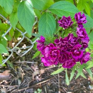 Meet your Posher, Katherine